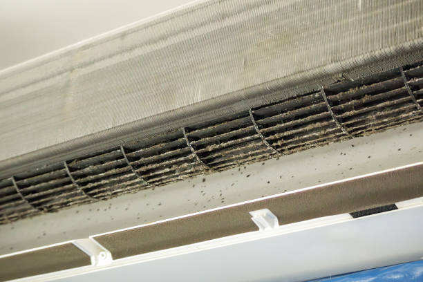 Best Local Air Duct Cleaning Services  in Hampton, SC